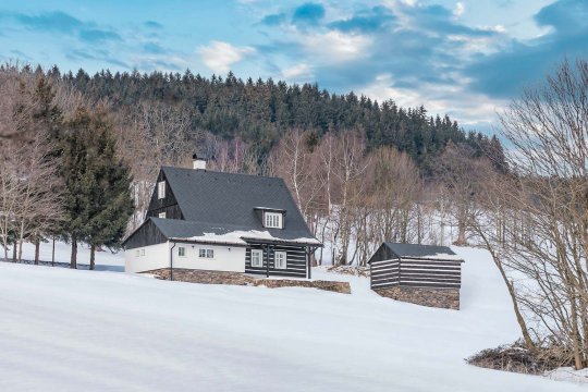 Neu 1